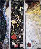 thumb_105-hagi-nakajima-sachi-hariwomotsu.jpg