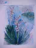 thumb_p5092465.jpg