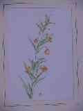 thumb_p5102646.jpg