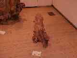 thumb_p5102996.jpg