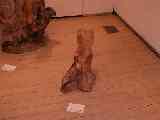 thumb_p5102997.jpg